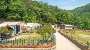 Gapyeong camp with pet & aegyeonglamping
